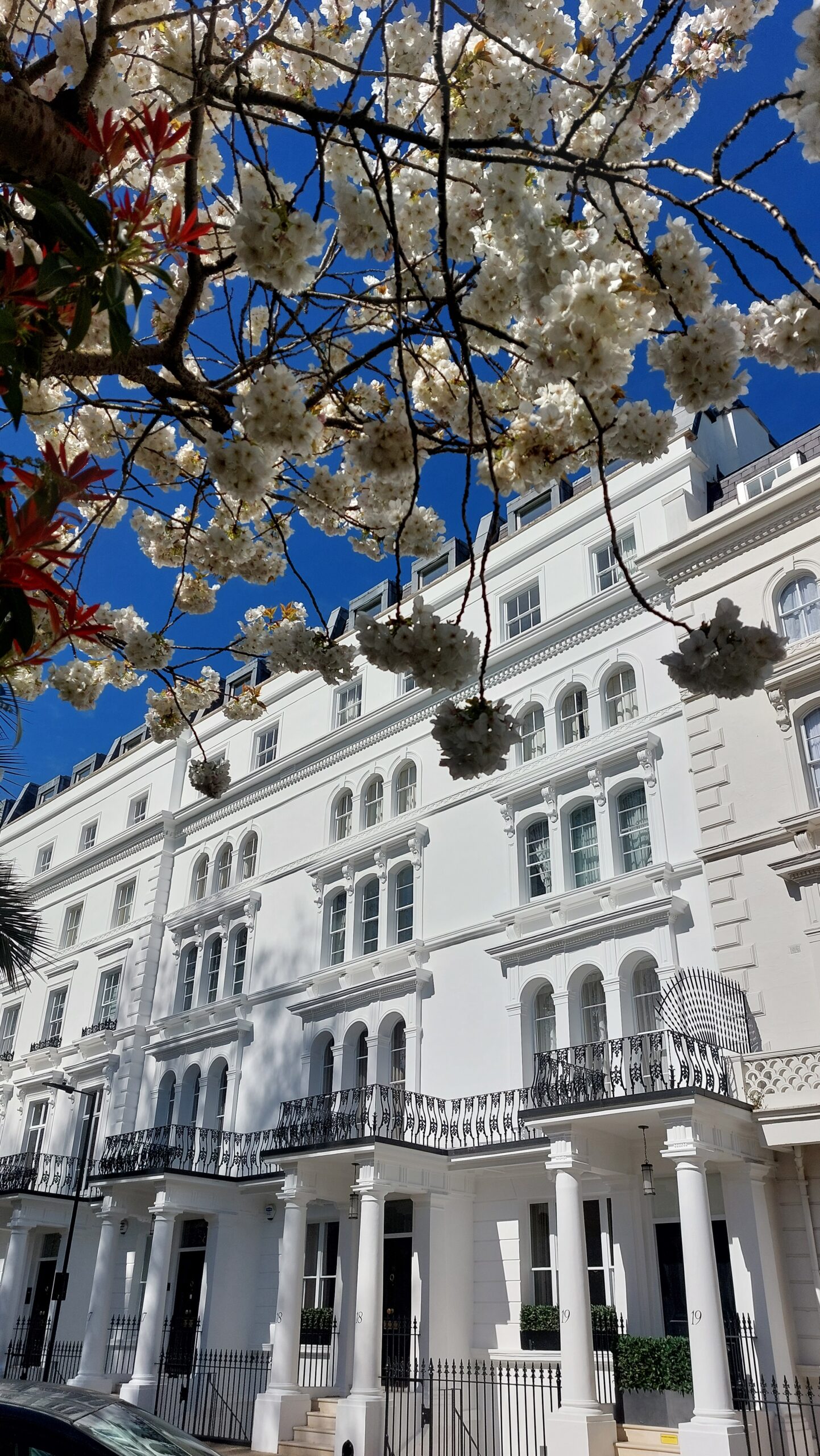 13-19 Leinster Square after soldalit (18)